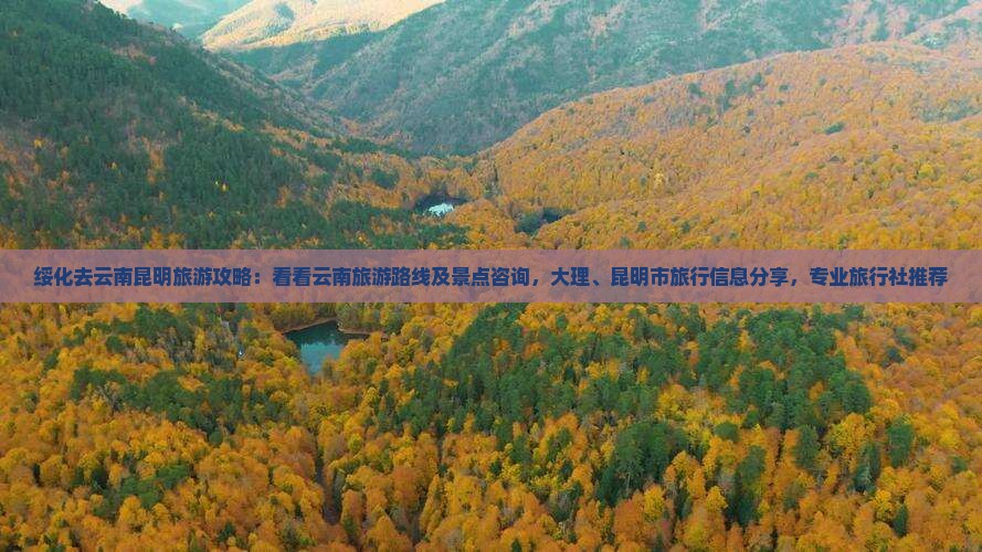 绥化去云南昆明旅游攻略：看看云南旅游路线及景点咨询，大理、昆明市旅行信息分享，专业旅行社推荐