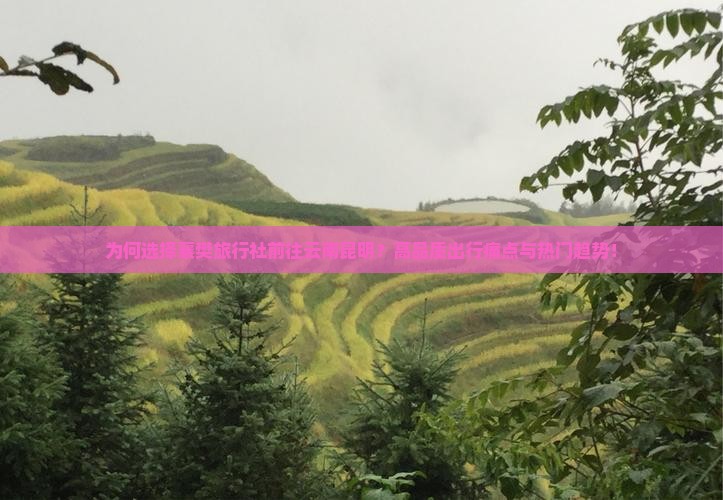 为何选择襄樊旅行社前往云南昆明？高品质出行痛点与热门趋势！