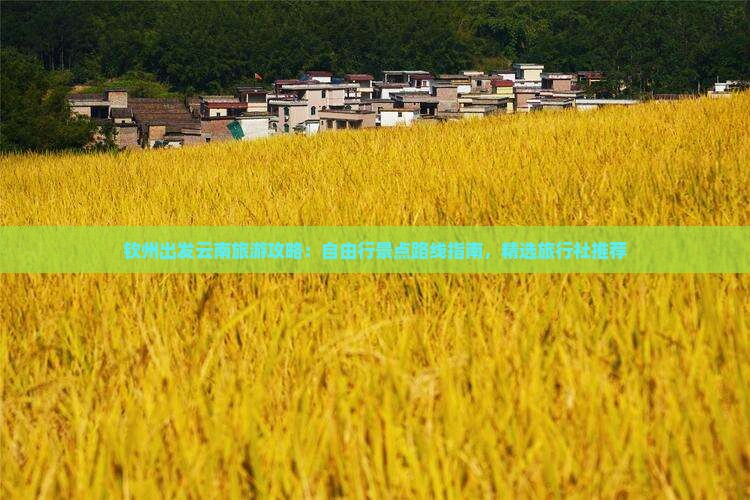 钦州出发云南旅游攻略：自由行景点路线指南，精选旅行社推荐