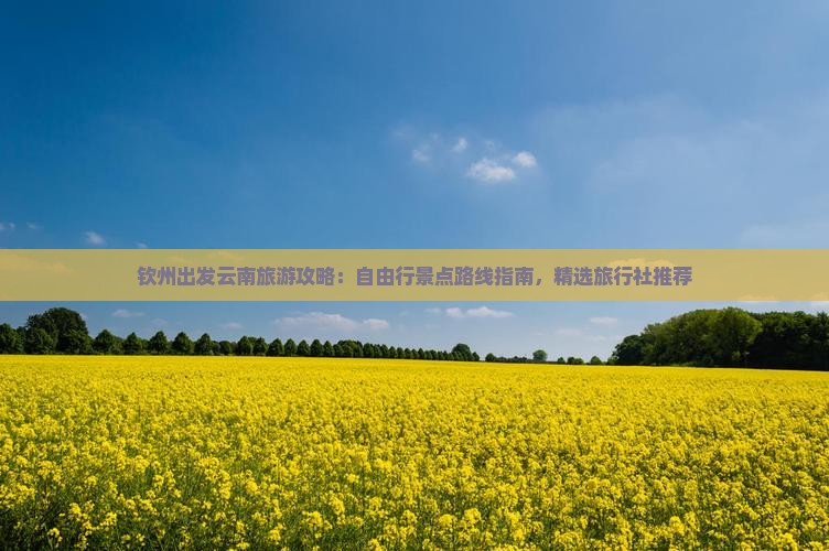 钦州出发云南旅游攻略：自由行景点路线指南，精选旅行社推荐