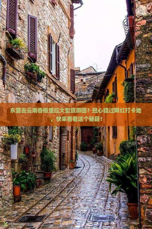 东营去云南香格里拉大型旅游团？担心错过网红打卡地，快来看看这个秘籍！