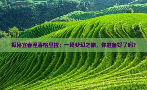 探秘宜春至香格里拉：一场梦幻之旅，你准备好了吗？