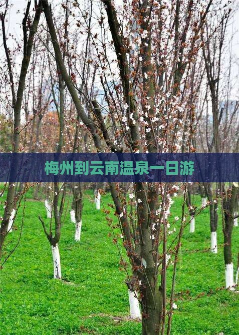 梅州到云南温泉一日游