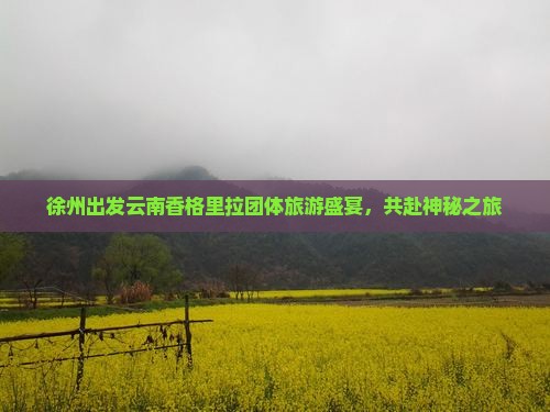 徐州出发云南香格里拉团体旅游盛宴，共赴神秘之旅