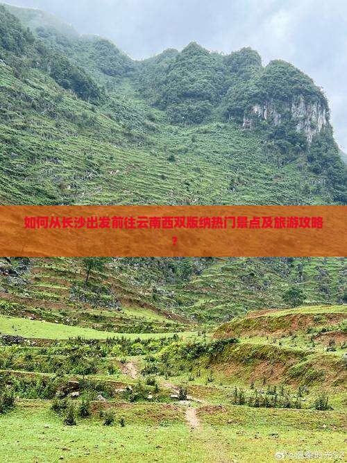 如何从长沙出发前往云南西双版纳热门景点及旅游攻略？