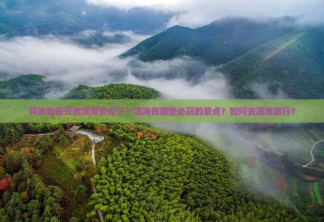 阿泰勒去云南洱海景点了？洱海有哪些必玩的景点？如何去洱海旅行？