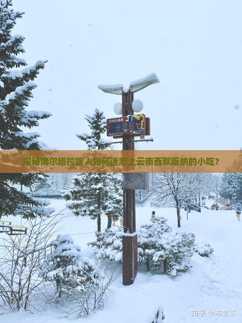 探秘博尔塔拉族人如何迷恋上云南西双版纳的小吃？