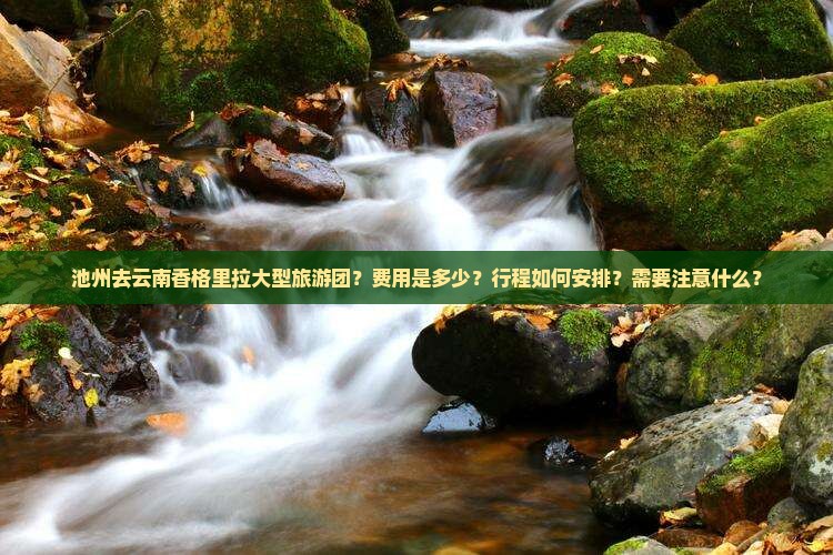 池州去云南香格里拉大型旅游团？费用是多少？行程如何安排？需要注意什么？