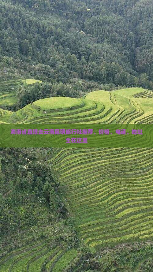 海南省直辖去云南昆明旅行社推荐、价格、电话、地址全在这里