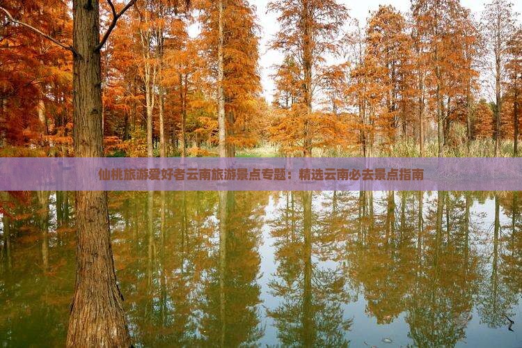 仙桃旅游爱好者云南旅游景点专题：精选云南必去景点指南
