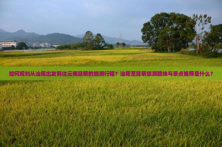如何规划从汕尾出发前往云南昆明的旅游行程？汕尾至昆明旅游路线与景点推荐是什么？