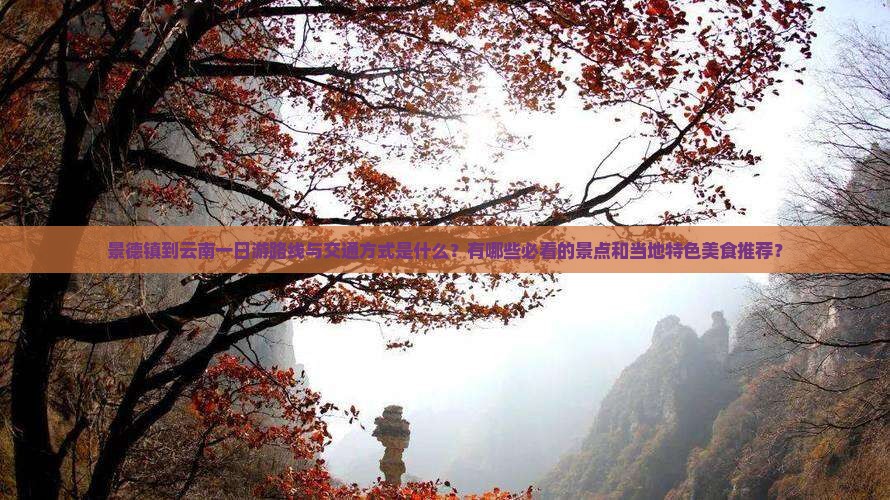 景德镇到云南一日游路线与交通方式是什么？有哪些必看的景点和当地特色美食推荐？