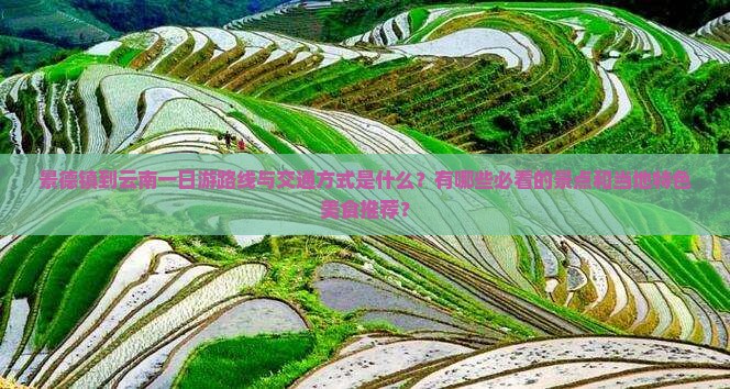 景德镇到云南一日游路线与交通方式是什么？有哪些必看的景点和当地特色美食推荐？