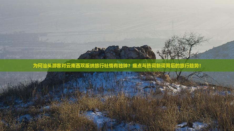 为何汕头游客对云南西双版纳旅行社情有独钟？痛点与热词新词背后的旅行趋势！