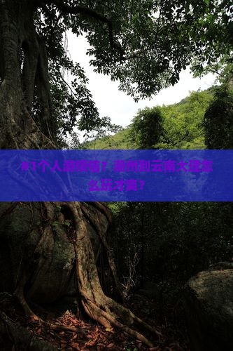 #1个人游烦恼？潮州到云南大理怎么玩才爽？