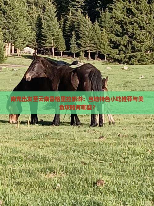 南充出发至云南香格里拉旅游：当地特色小吃推荐与美食攻略有哪些？