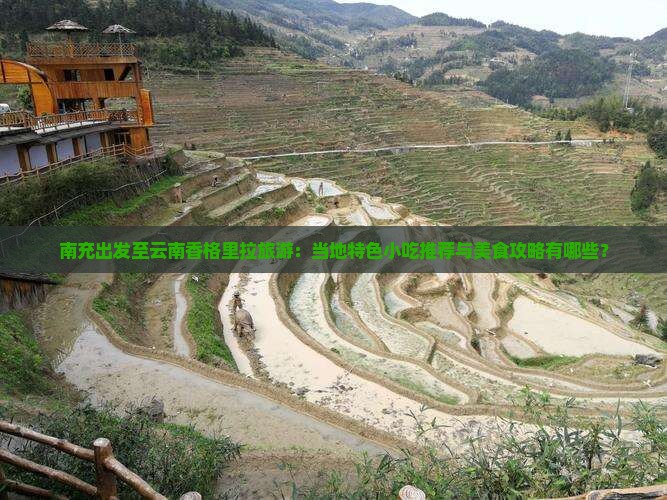 南充出发至云南香格里拉旅游：当地特色小吃推荐与美食攻略有哪些？