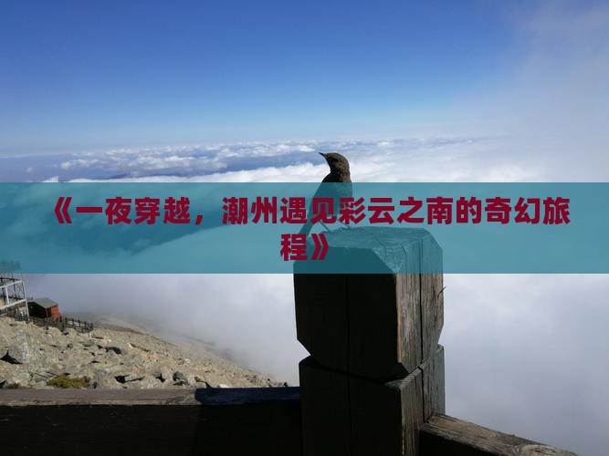《一夜穿越，潮州遇见彩云之南的奇幻旅程》