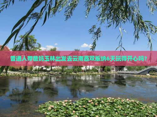 普通人带爸妈玉林出发去云南西双版纳6天玩得开心吗？