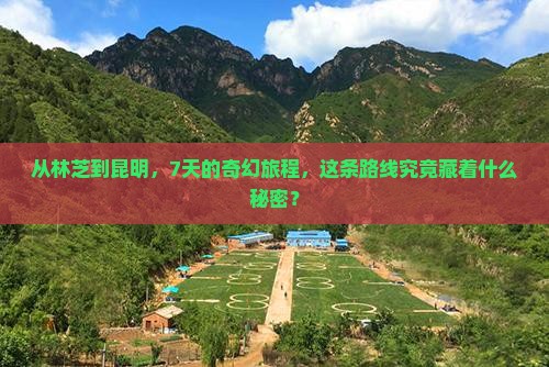 从林芝到昆明，7天的奇幻旅程，这条路线究竟藏着什么秘密？