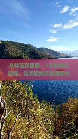 从林芝到昆明，7天的奇幻旅程，这条路线究竟藏着什么秘密？