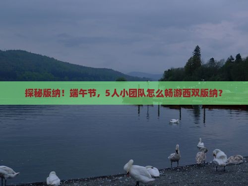 探秘版纳！端午节，5人小团队怎么畅游西双版纳？