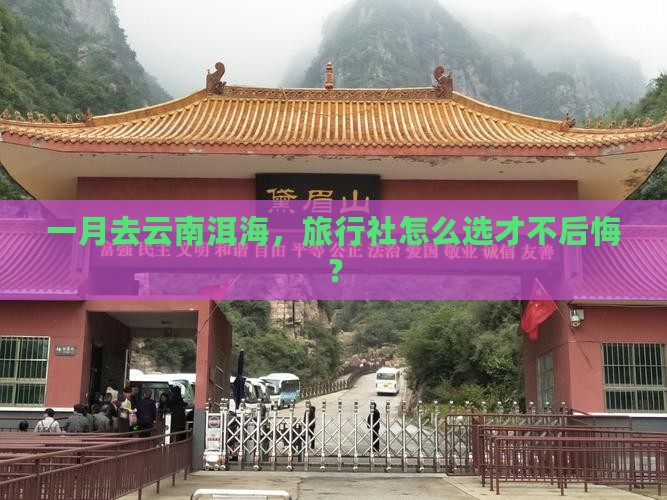 一月去云南洱海，旅行社怎么选才不后悔？