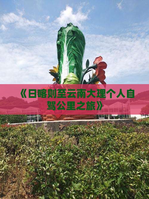 《日喀则至云南大理个人自驾公里之旅》