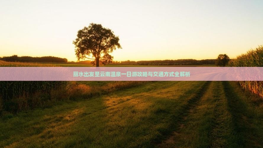丽水出发至云南温泉一日游攻略与交通方式全解析