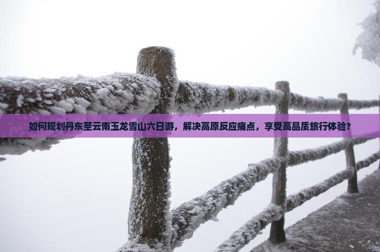 如何规划丹东至云南玉龙雪山六日游，解决高原反应痛点，享受高品质旅行体验？