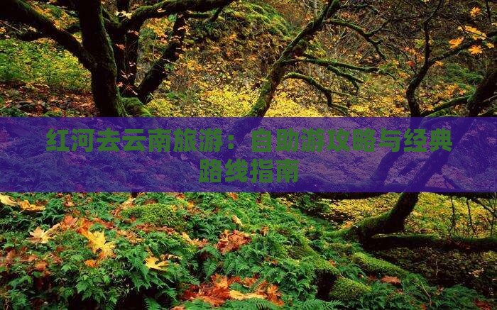红河去云南旅游：自助游攻略与经典路线指南