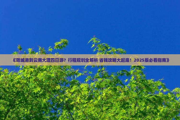防城港到云南大理四日游