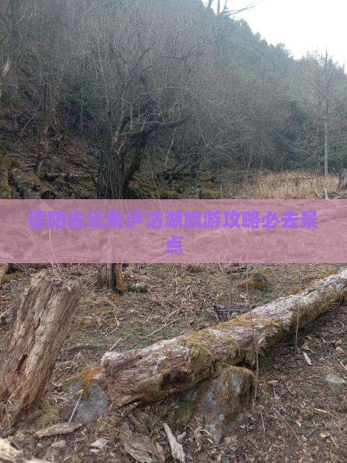 德阳去云南泸沽湖必去地 德阳去云南泸沽湖必去地