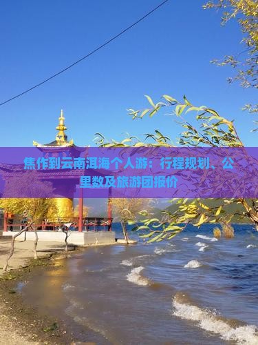 焦作到云南洱海个人游
