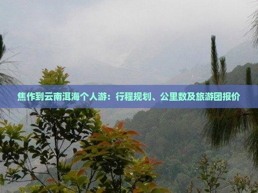 焦作到云南洱海个人游
