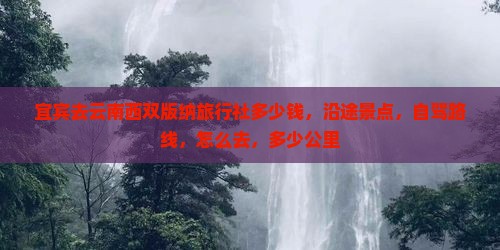 宜宾去云南西双版纳旅行社