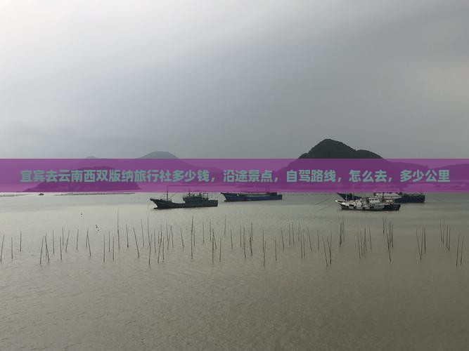 宜宾去云南西双版纳旅行社