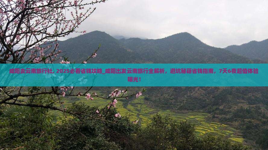 咸阳去云南旅行社