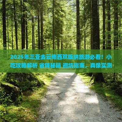 三亚去云南西双版纳旅游小吃