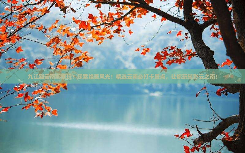 九江到云南哪里玩