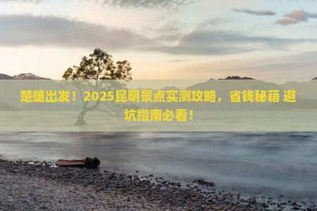 楚雄去云南昆明景点