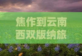 焦作去云南西双版纳旅游