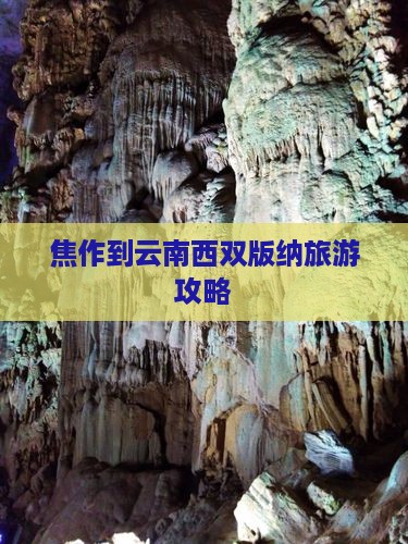 焦作去云南西双版纳旅游