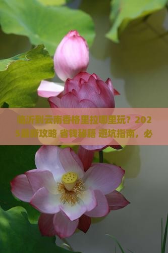 临沂到云南香格里拉哪里玩