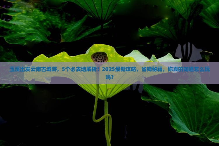 玉溪到云南古城必去地