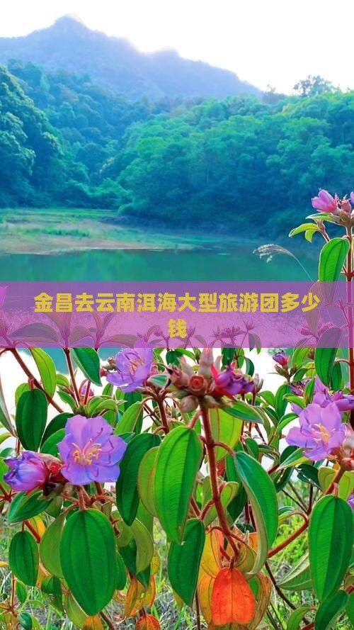 金昌去云南洱海大型旅游团