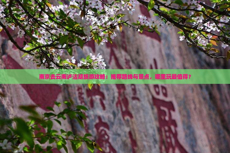 南京去云南泸沽湖哪里玩