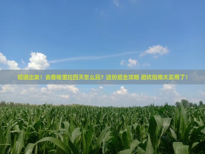 昭通去云南香格里拉四日游