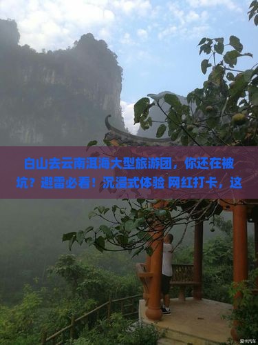 白山去云南洱海大型旅游团
