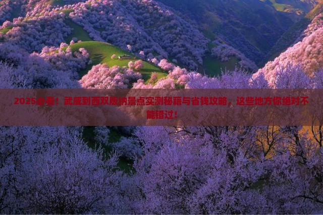 武威到云南西双版纳景点